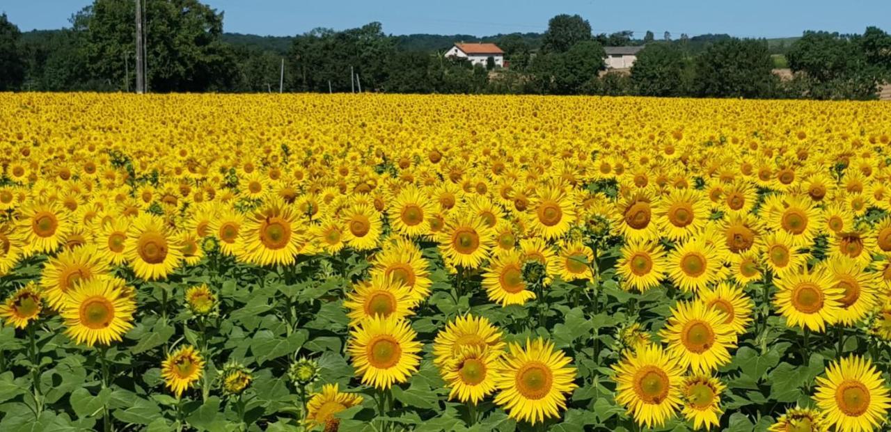 Les Grands Bois Bed & Breakfast Pomport Bagian luar foto